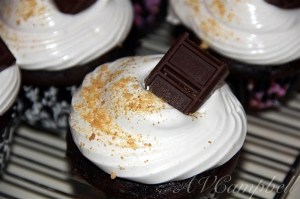 S'Mores Cupcake I