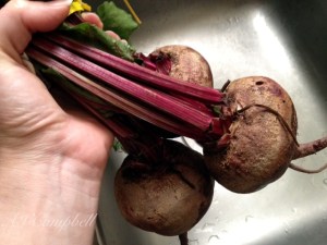 Fresh Beets